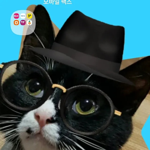 냥냥펀치
