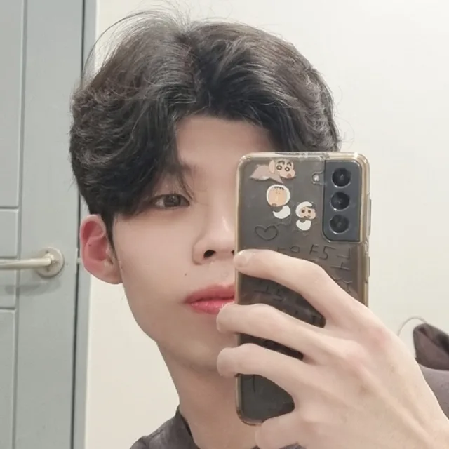 도치