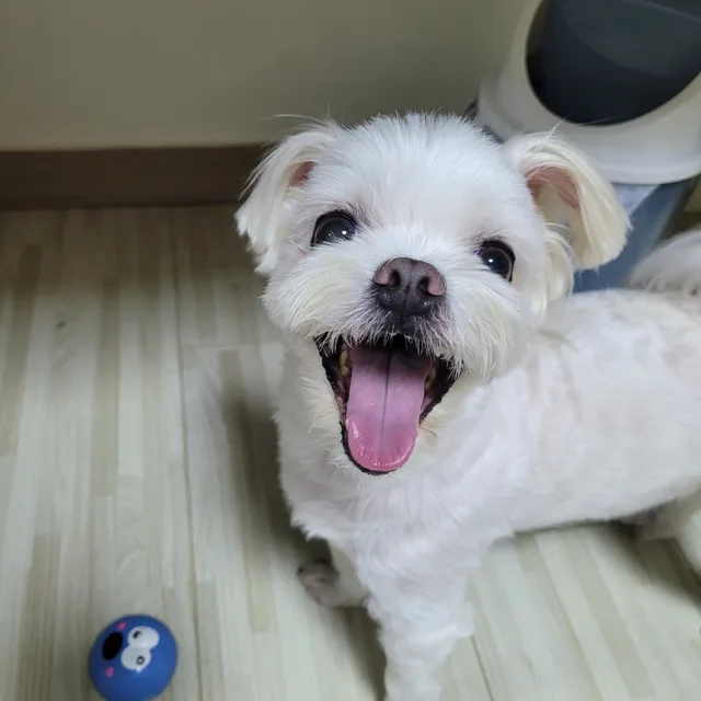 씨앗