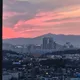 마뮤투