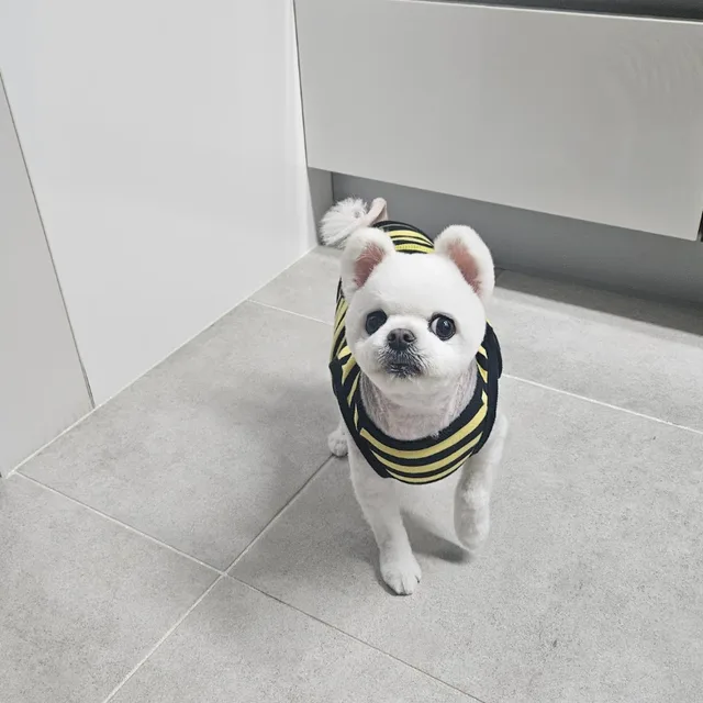 신짱