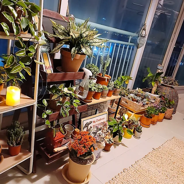 지코바
