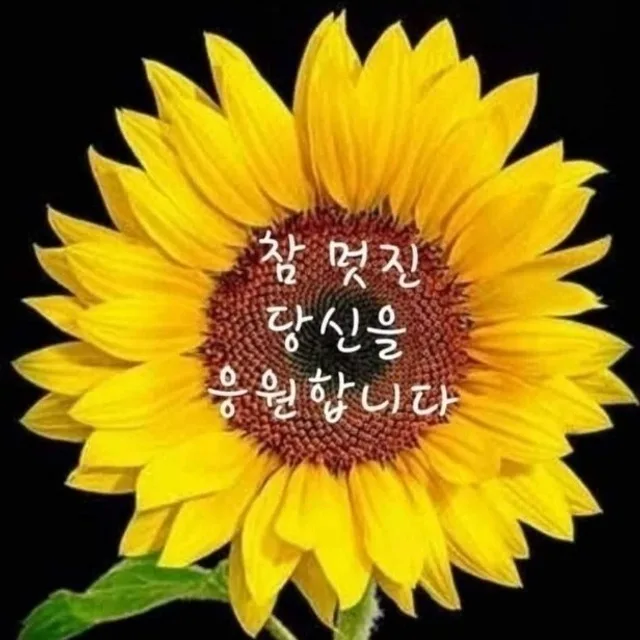 ksyyy0629