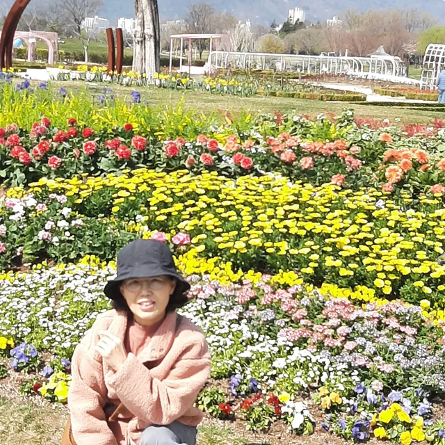 격려하는티라미수솔소