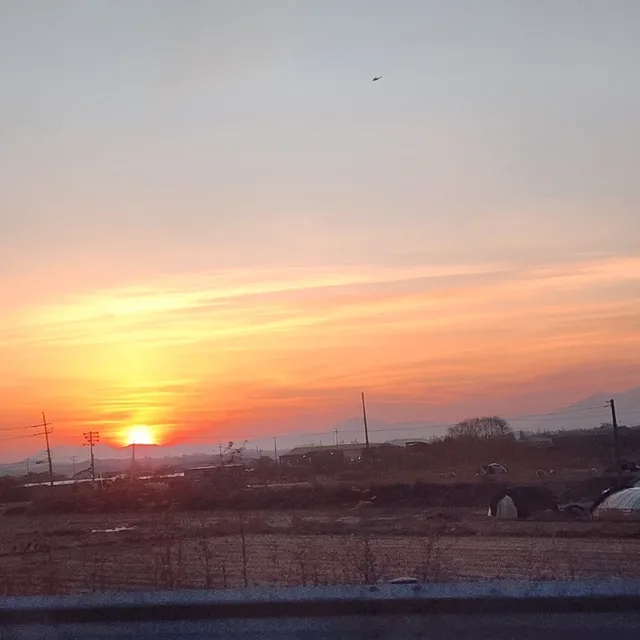 하유남매