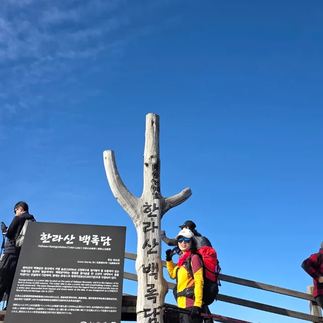 네잎크로바