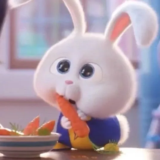 엽기토끼
