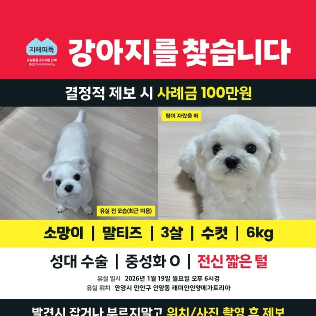 문문