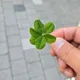 다담