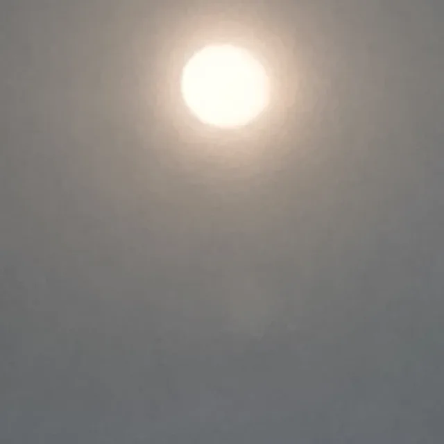실행력