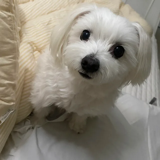 부천66상상
