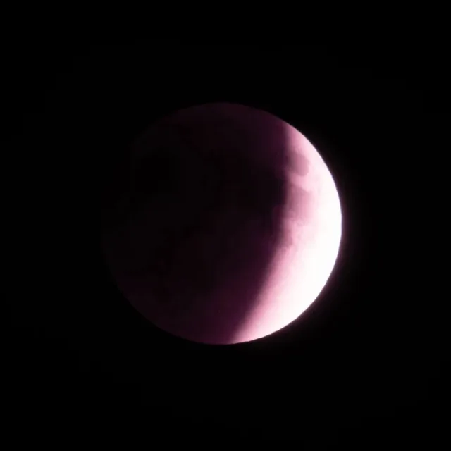 머순이