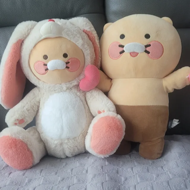 춘식식식