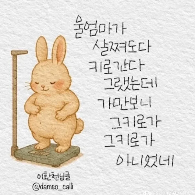 소담