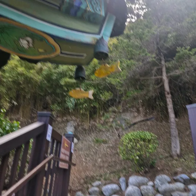 꼬마
