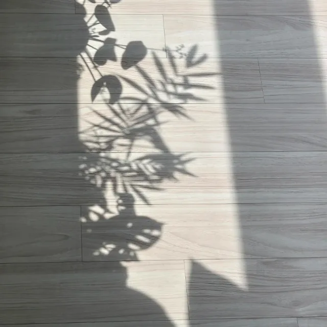 델쥬