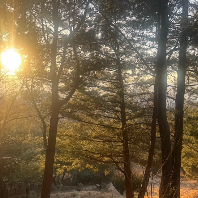레레