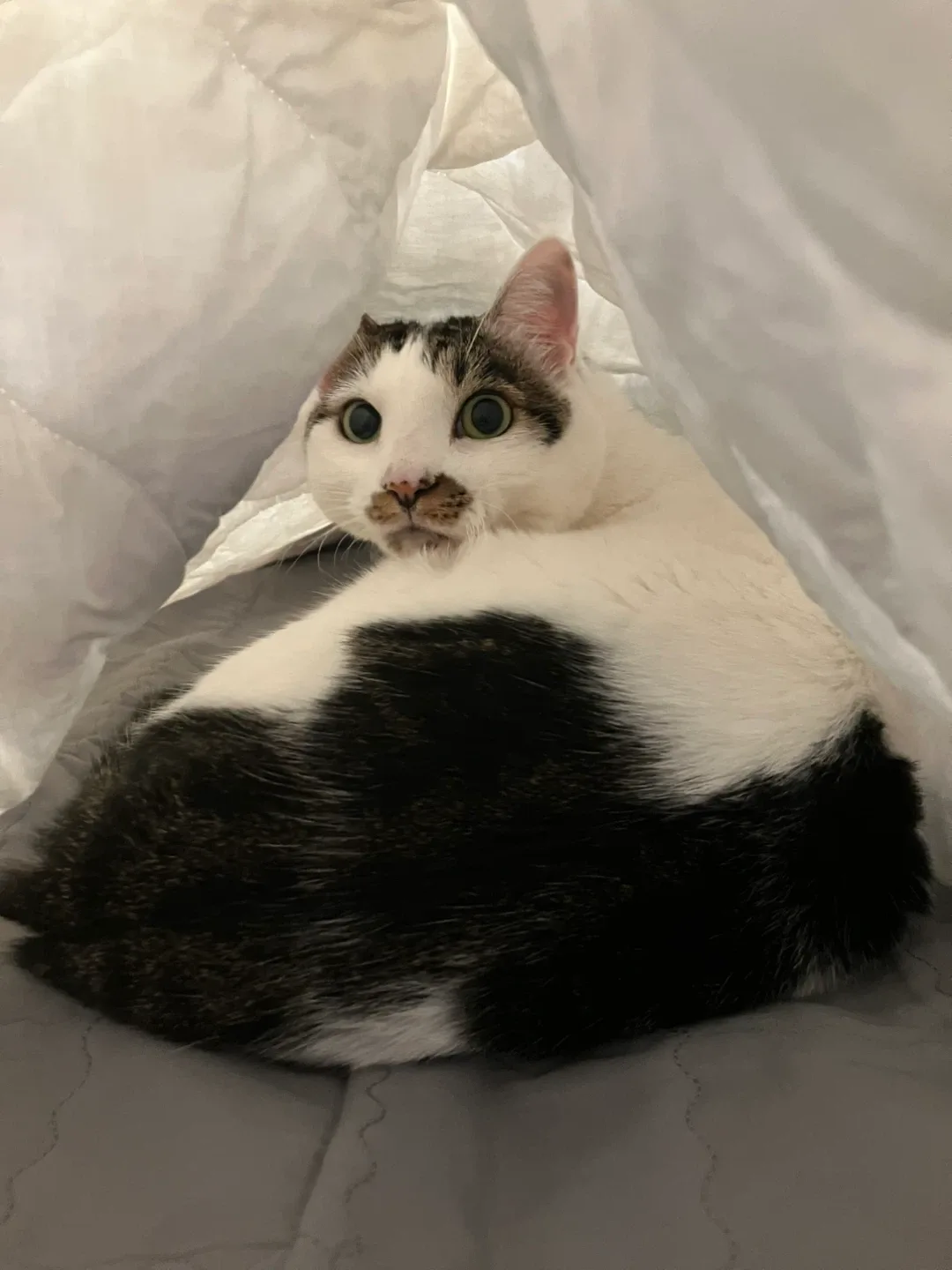 우잉크