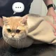 오나르