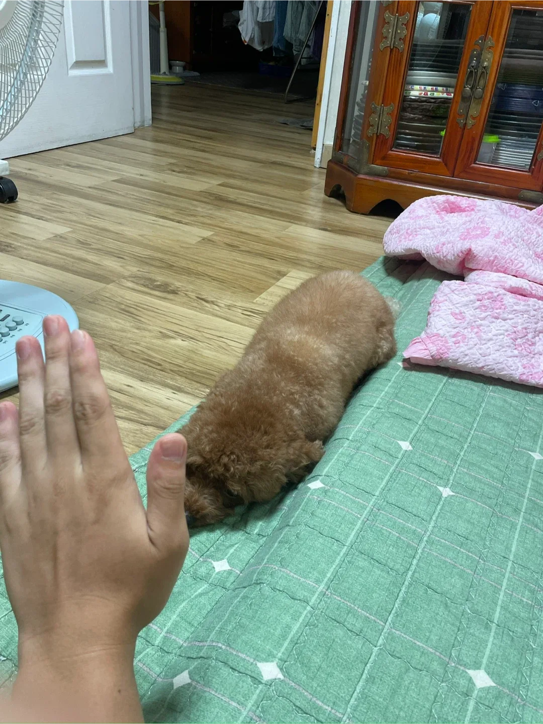 용동인