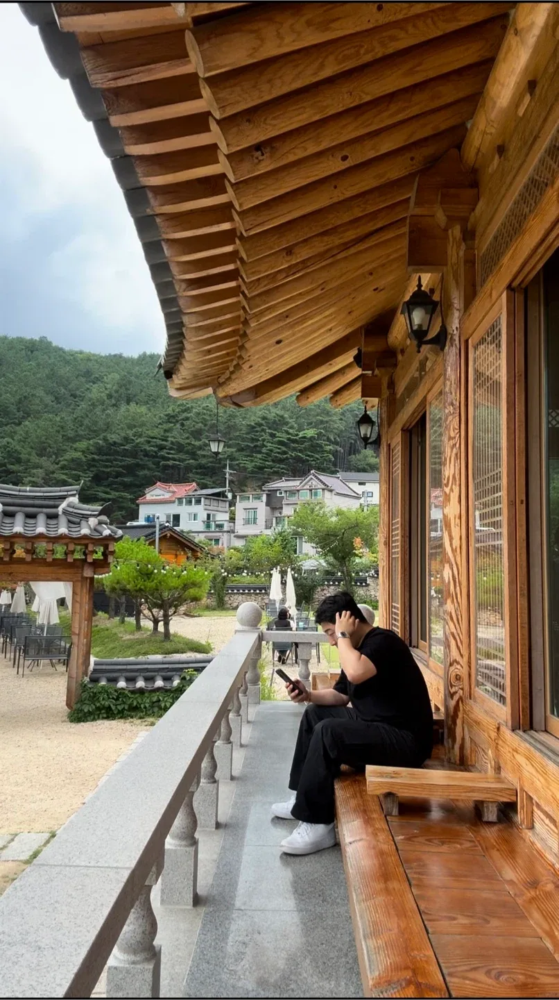 라쿤