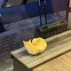 가끔일출보기하는구성원