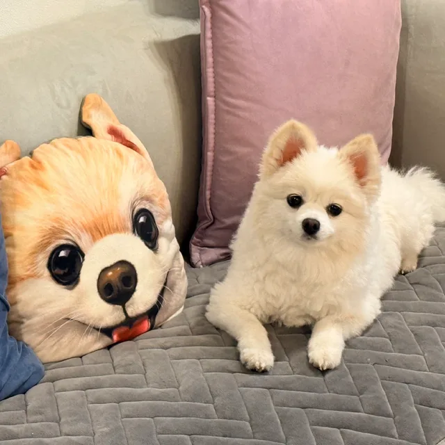 리틀포레스트