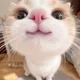 소민