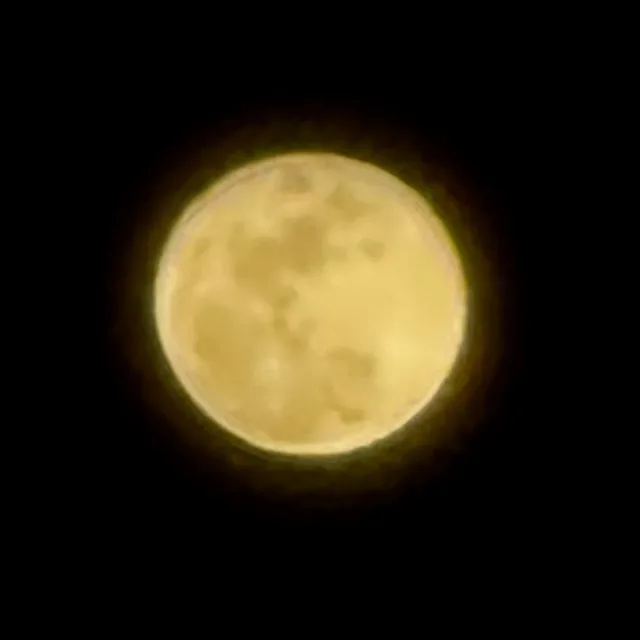 MOON