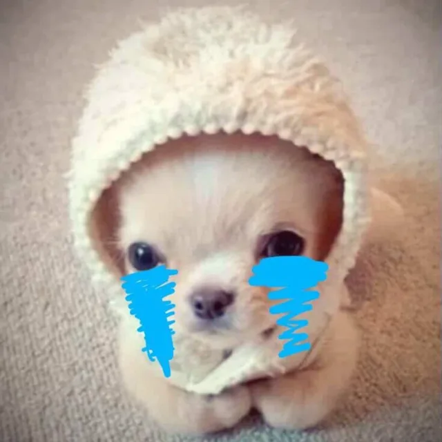 웅냥냥