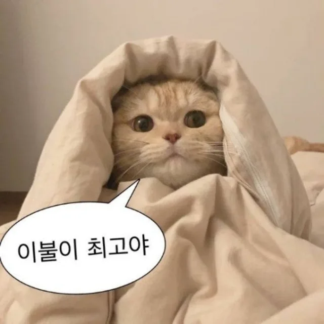 냥뇽