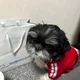 마라탕킬러