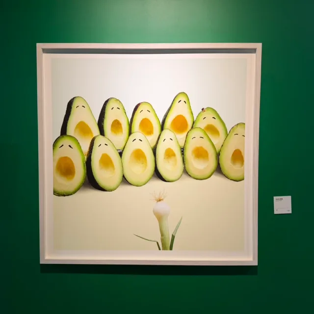 햇님
