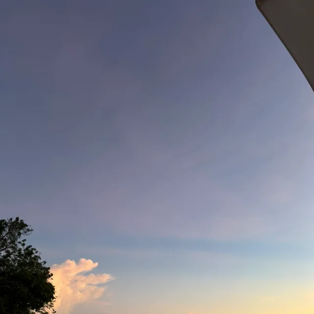 고콜리
