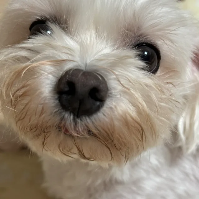 보고싶었어요