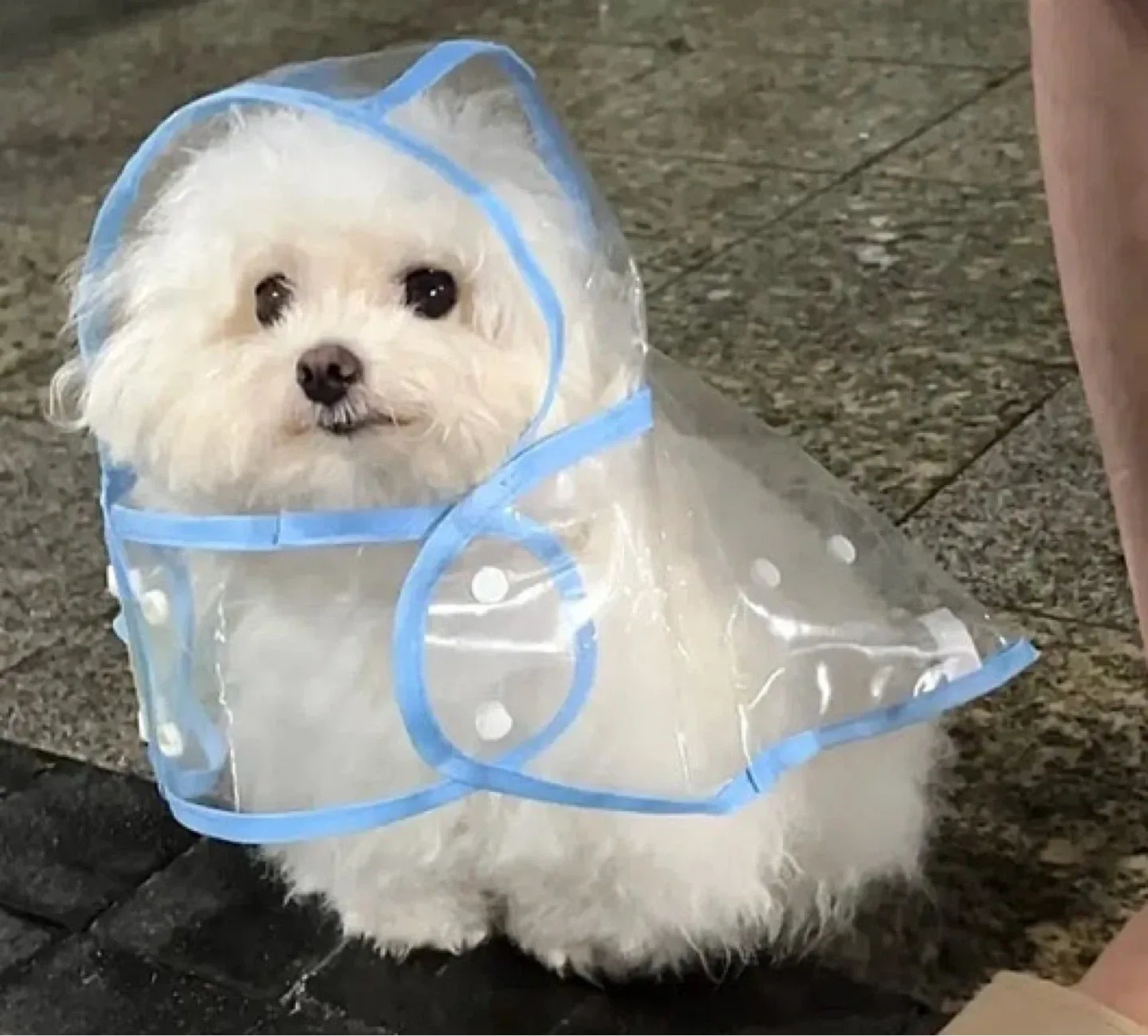 테테
