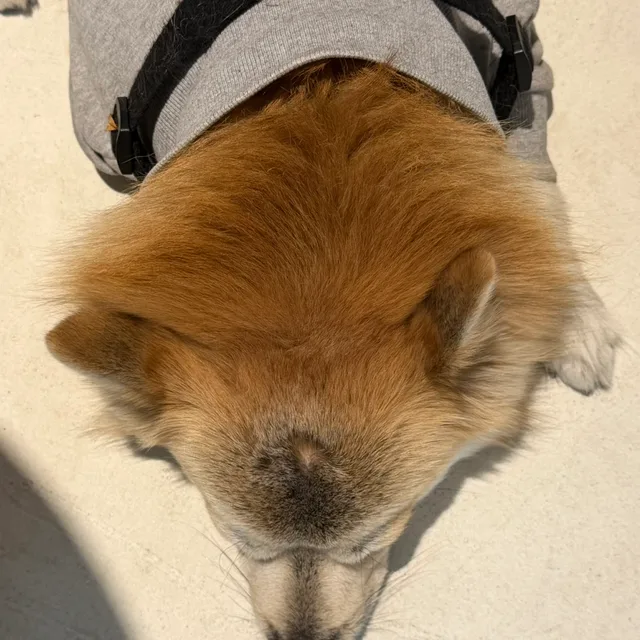 저렴히이