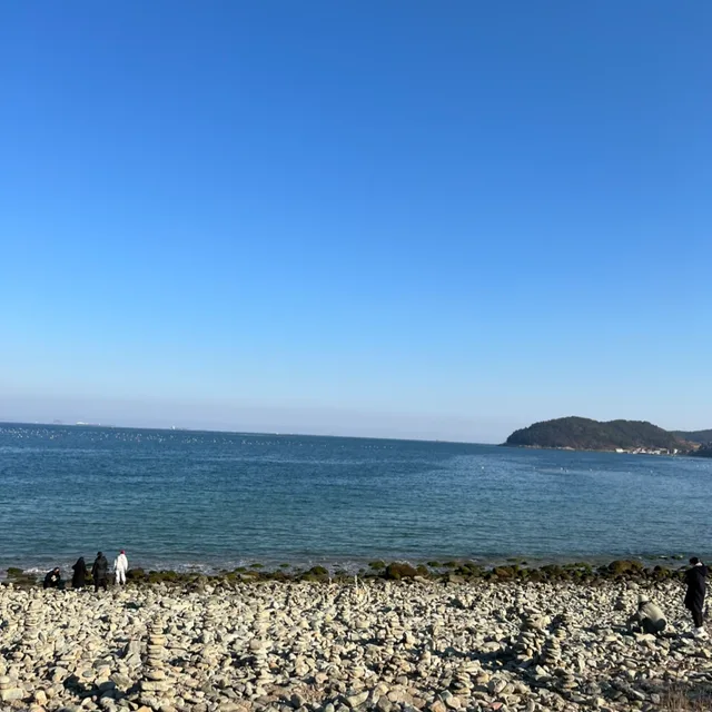 쭈야