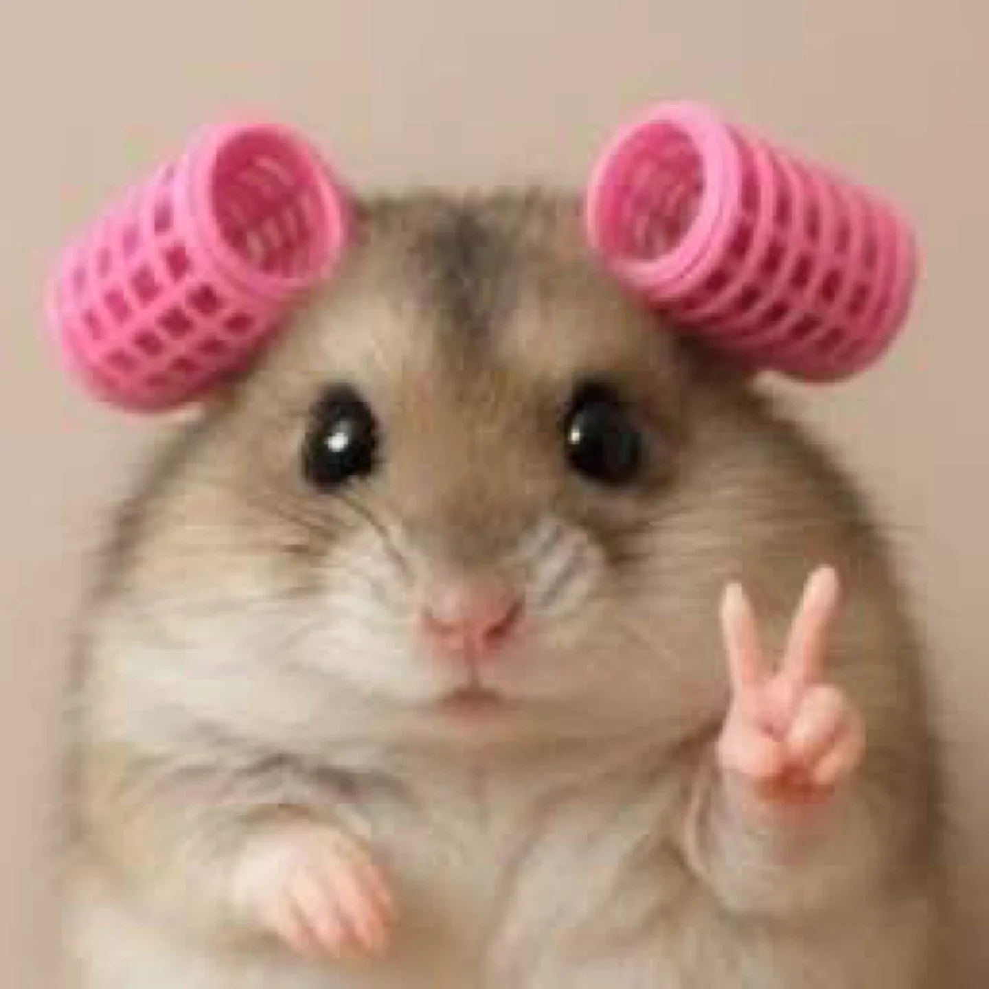 물욕요정