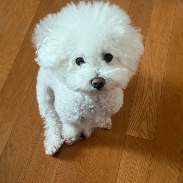 다니엘