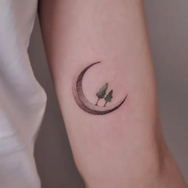 달님나무