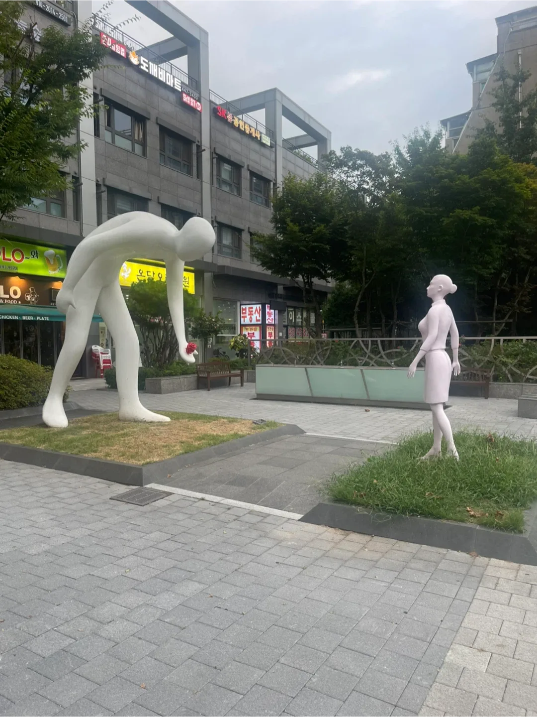 세네