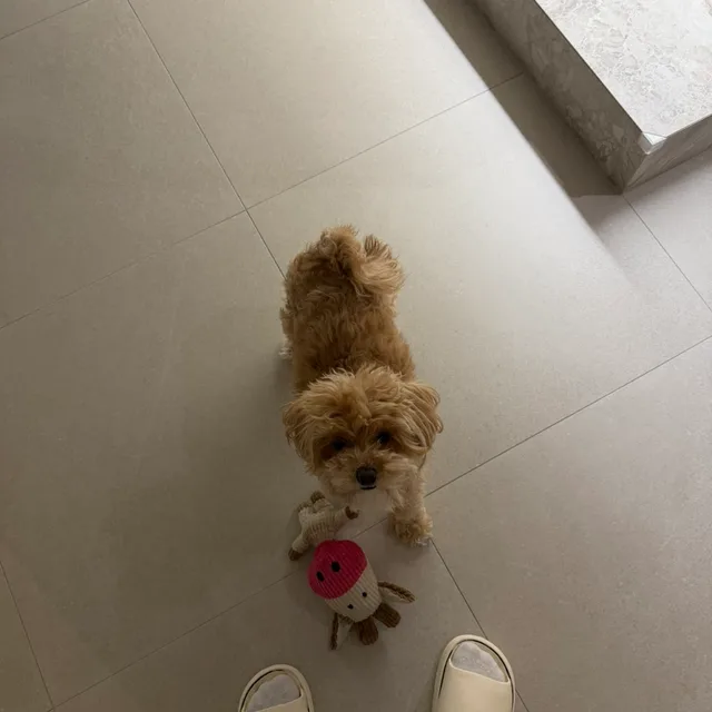 기분좋은당근거래