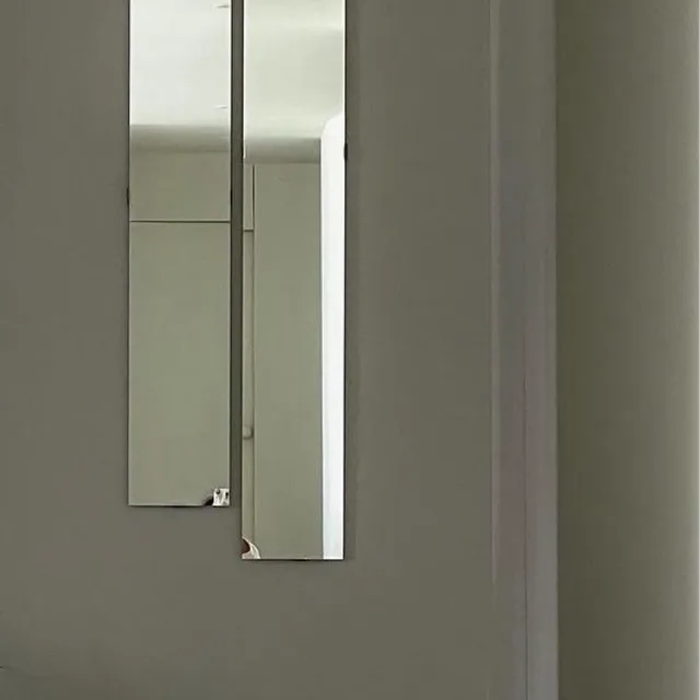 장미비파레몬