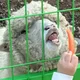 모기공장