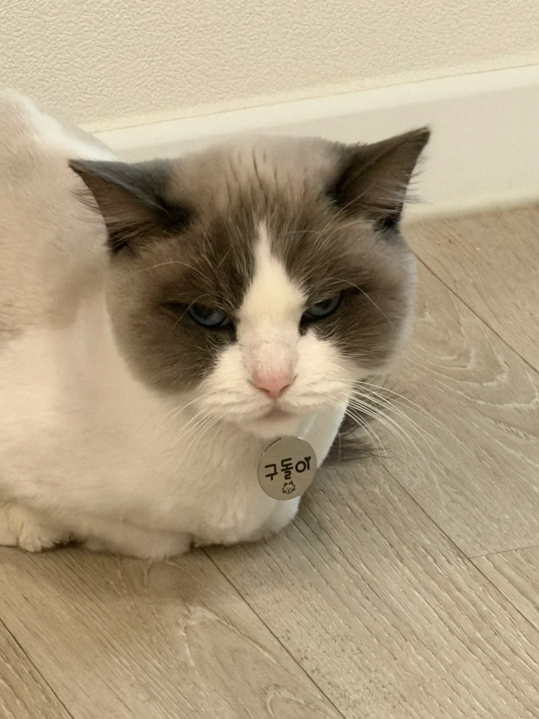 리딩