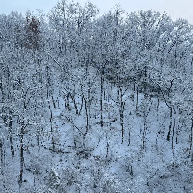 처음부터
