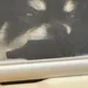 비야