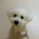 흐힝힝