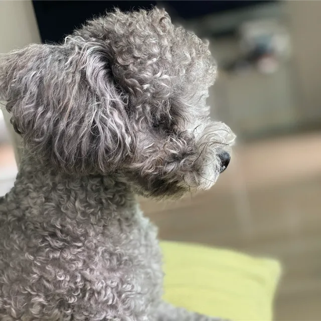 profile